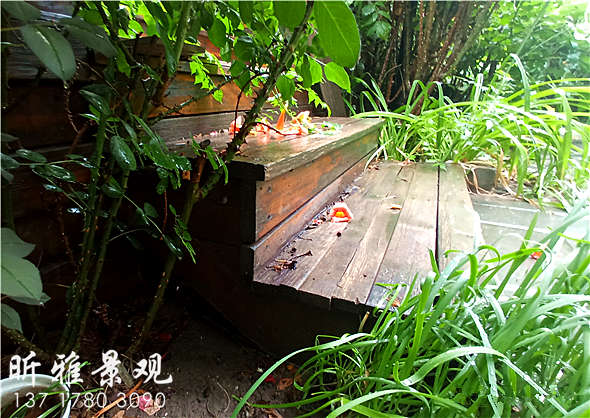 花园设计中绿植部分占比多少适宜|庭院绿化公司