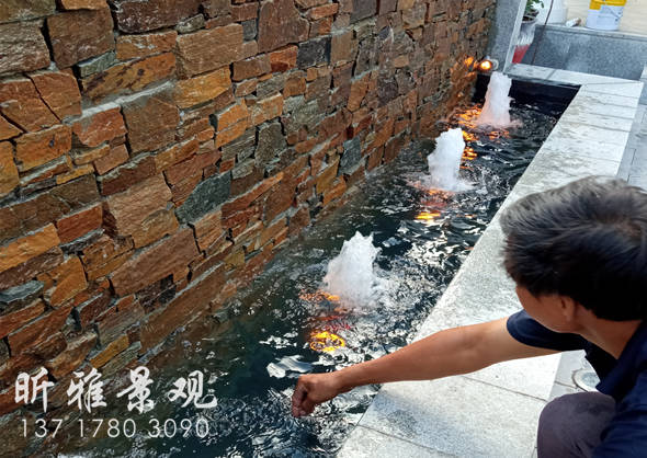设计花园水景时如何选择适合的水景种类？